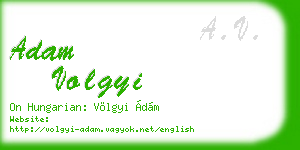 adam volgyi business card